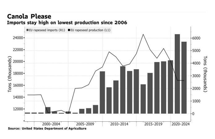 Источник фото: bloomberg.com – Импорт и производство рапса ЕС