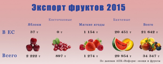 ИНФОГРАФИКА ФРУКТЫ