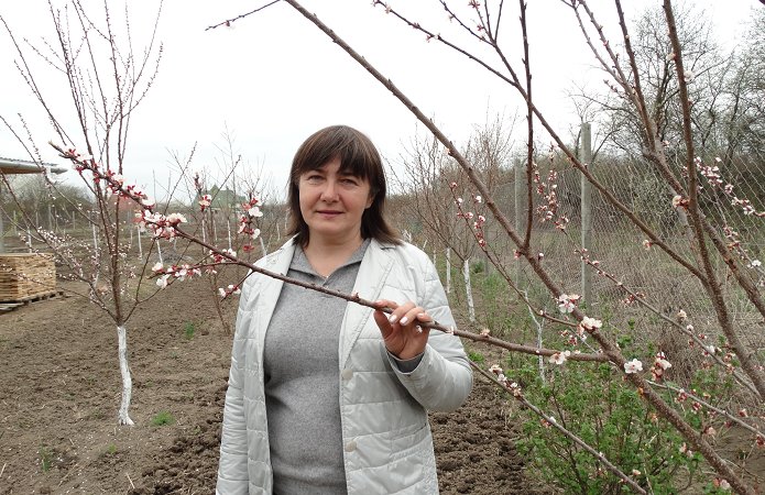 Источник фото: AgroPortal.ua