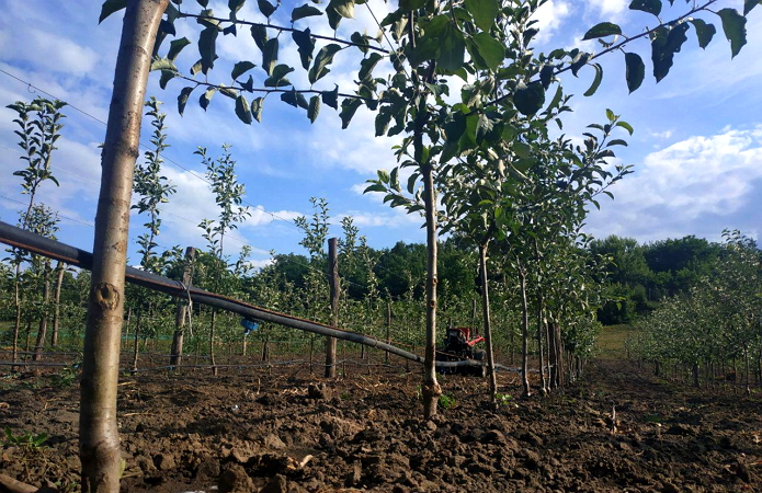 Джерело фото: AgroPortal.ua