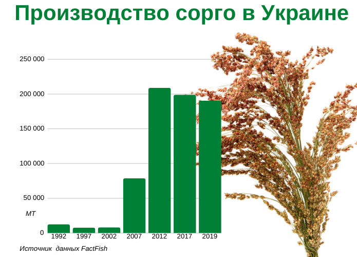 Источник фото: AgroPortal.ua