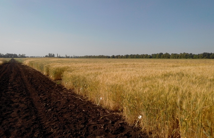 Джерело фото: з особистого архіву Віталія Жемойди