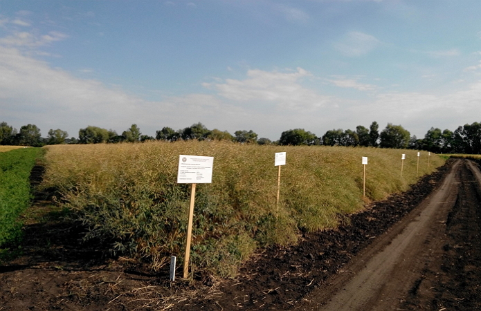 Джерело фото: з особистого архіву Віталія Жемойди