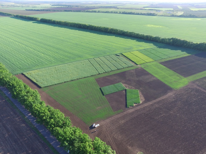 Вид демонстрационных полей с дрона, приобретенного Syngenta