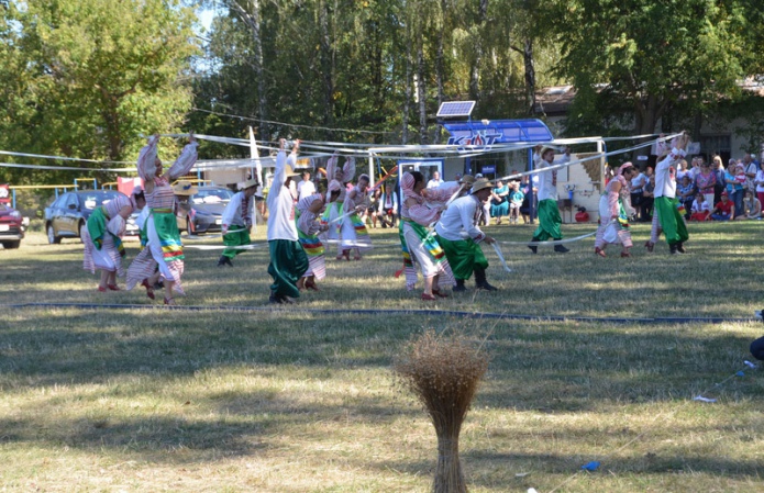 Джерело фото: AgroPortal.ua