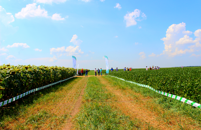 Джерело фото: AgroPortal.ua