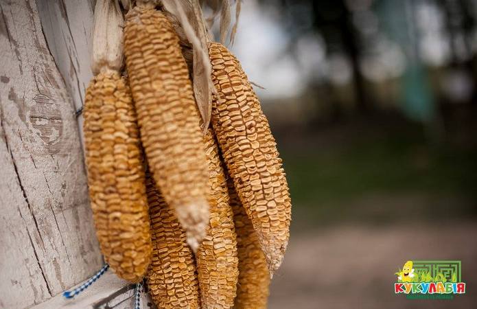 Джерело фото: Агропарк «Кукулабія»