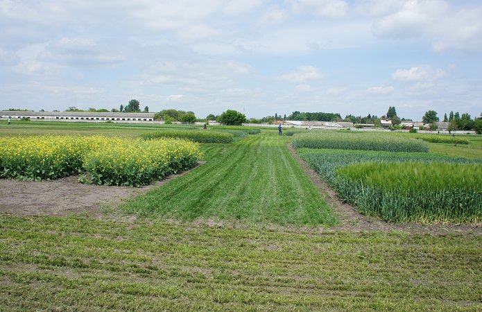 Джерело фото: AgroPortal.ua