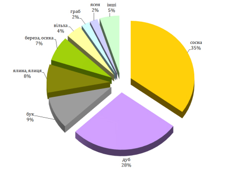 Леса Украины сформированы более 30 видами древесных пород (источник: Гослесагентство)