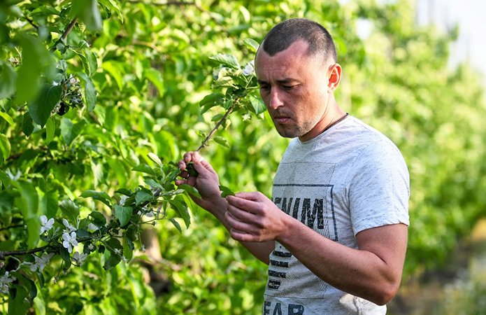 Керівник ТОВ «СПП Лана» Олексій Верещага