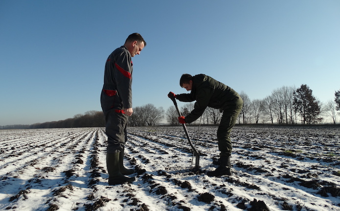 Джерело фото: AgroPortal.ua