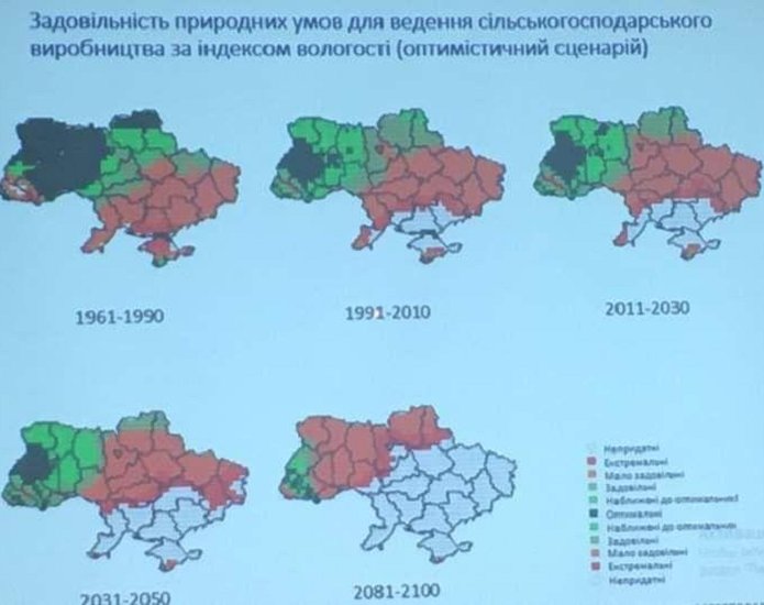 Презентация Николая Сучека