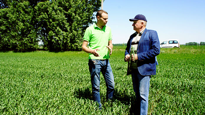 Источник фото: AgroPortal.ua