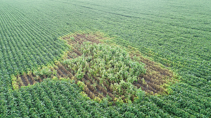 Источник фото: Drone.UA