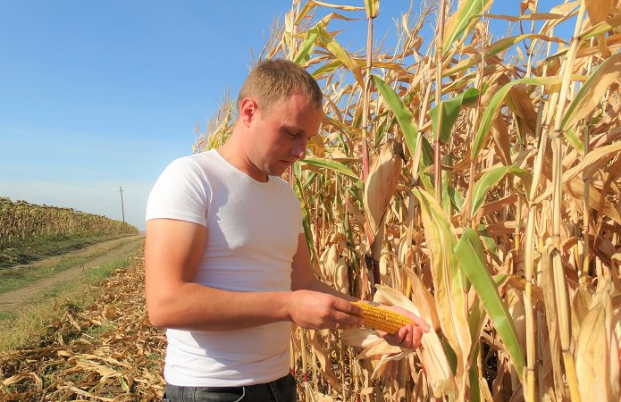 Джерело фото: AgroPortal.ua