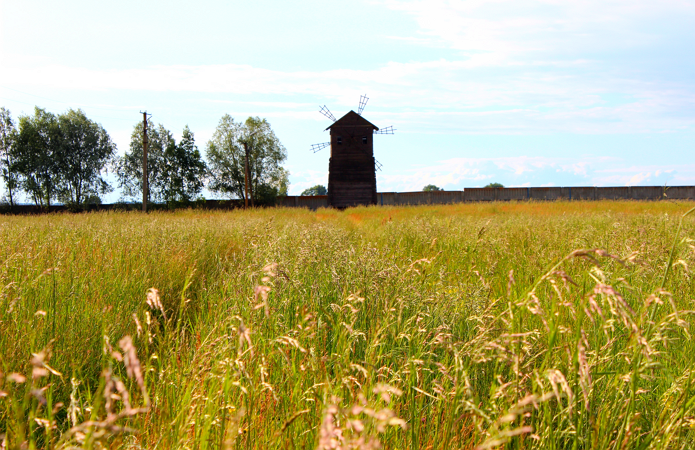 Джерело фото: AgroPortal.ua