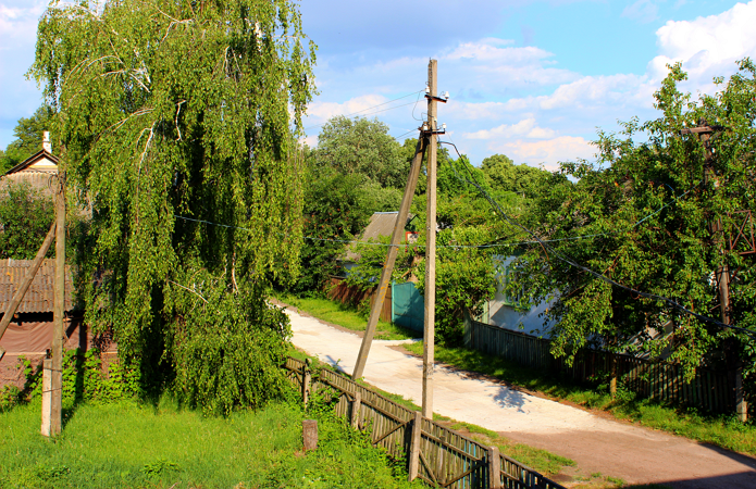 Источник фото: AgroPortal.ua