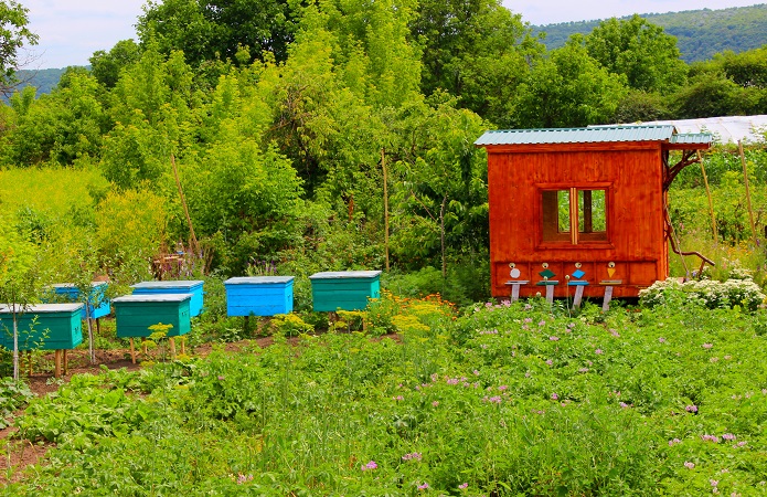 Источник фото: AgroPortal.ua 