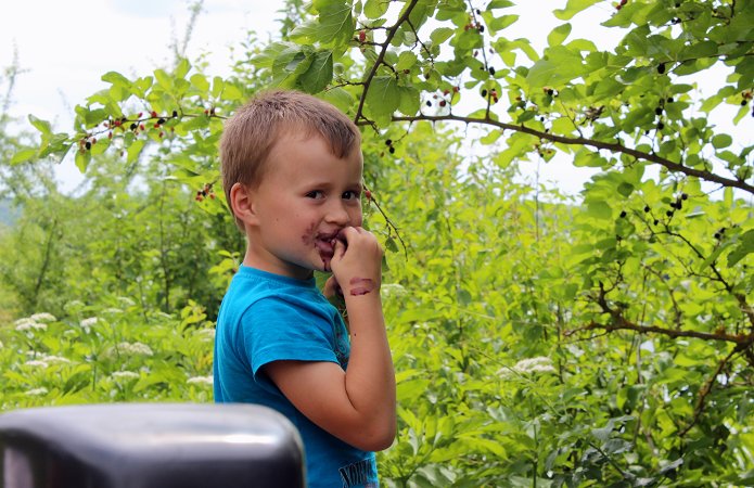 Джерело фото: AgroPortal.ua