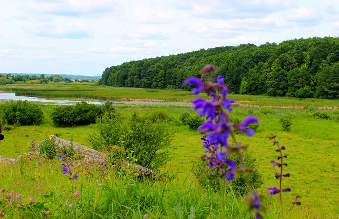 Источник фото: AgroPortal.ua