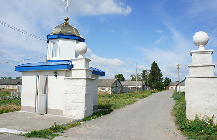 Джерело фото: AgroPortal.ua