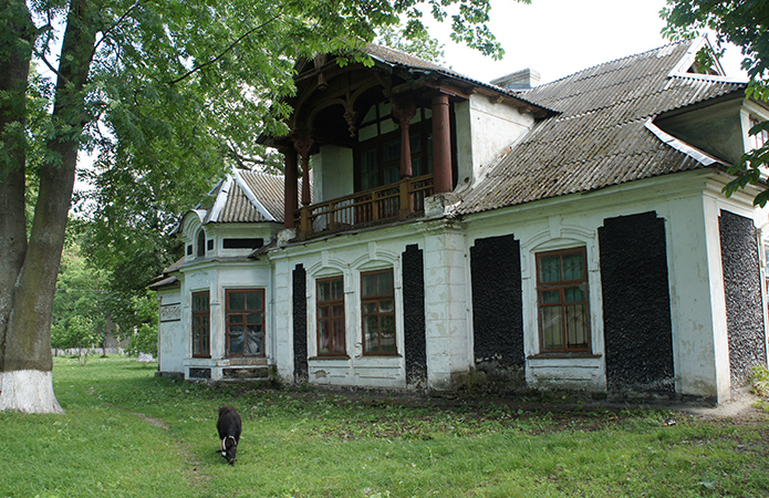 Джерело фото: AgroPortal.ua