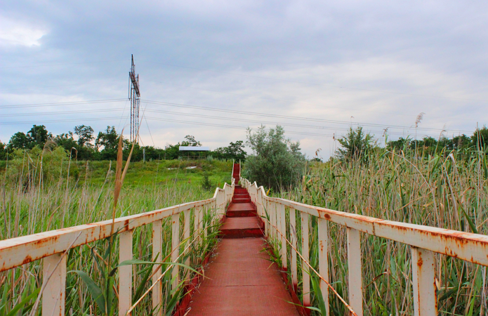 Джерело фото: AgroPortal.ua