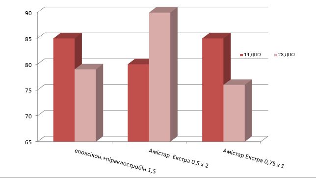 Рис. 7. Сравнительная эффективность стробилуринив против церкоспороза,%