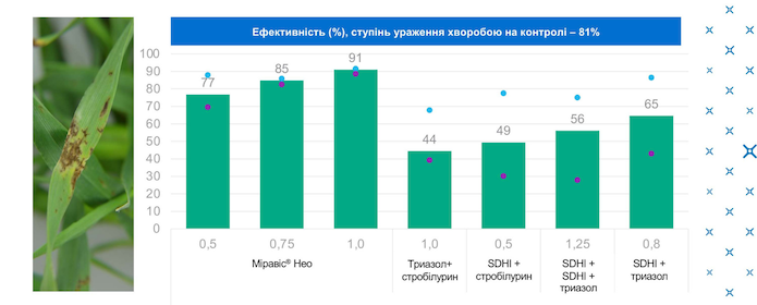 Сітчастий гельмінтоспоріоз ячменю (Drechslera teres)(Ефективність (%), ступінь ураження хворобою на контролі — 81 %)